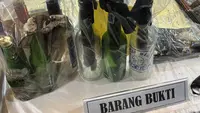 Insiden Ibu Dilempar Molotov di Koja, Pelakunya Bukan Satu Orang