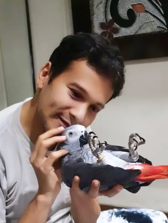 Foto manis bersama burung pun pamerkannya saat di rumah. Salah satunya adalah burung warna abu-abu yang diberi nama Kiko. Layaknya anak sendiri, burung itu nurut banget kepada Adam. Saat sedang santai, burung peliharaan itu begitu anteng saat diajak bermain. (Liputan6.com/IG/@adam_jordanreal)