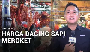 Harga Daging Sapi Meroket