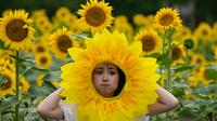 Seorang perempuan berpose dengan latar belakang ladang bungan matahari. (Photo by Jade Gao / AFP)