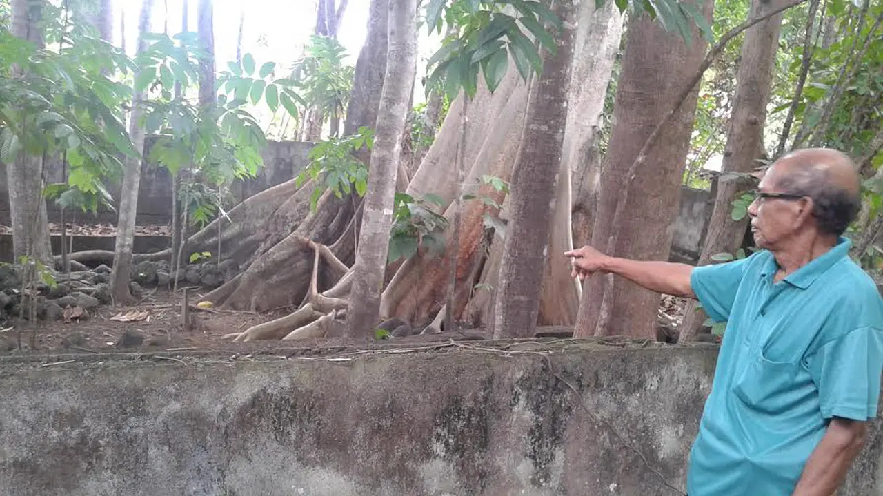 Batu Niopo Manado