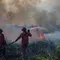 Warga Tewas Terbakar Saat Terobos Kepulan Asap Karhutla di Ketapang