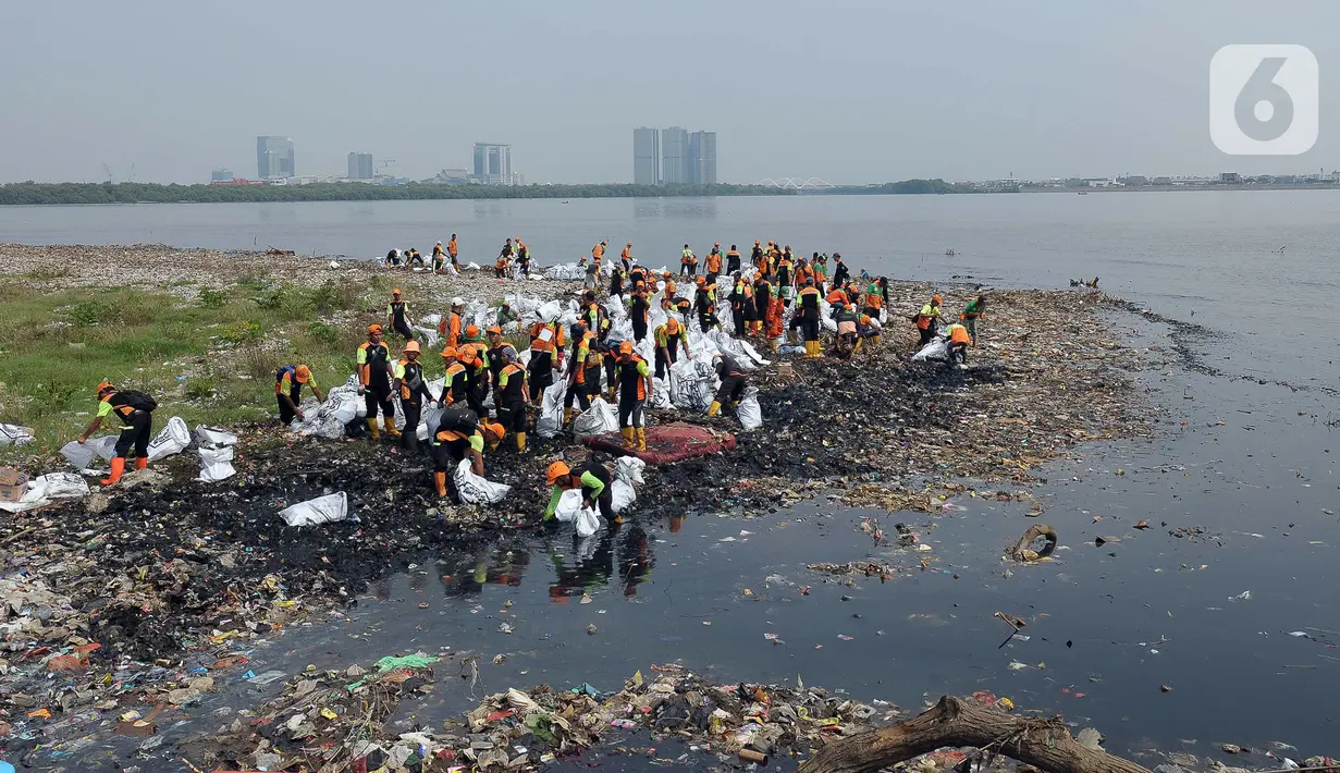 Petugas gabungan Dinas Lingkungan Hidup DKI Jakarta  membersihkan tumpukan sampah di kawasan Muara Angke, Jakarta Utara, Kamis (13/7/2023). Sebelumnya, tumpukan sampah di hutan mangrove tersebut viral di media sosial. (merdeka.com/Imam Buhori)