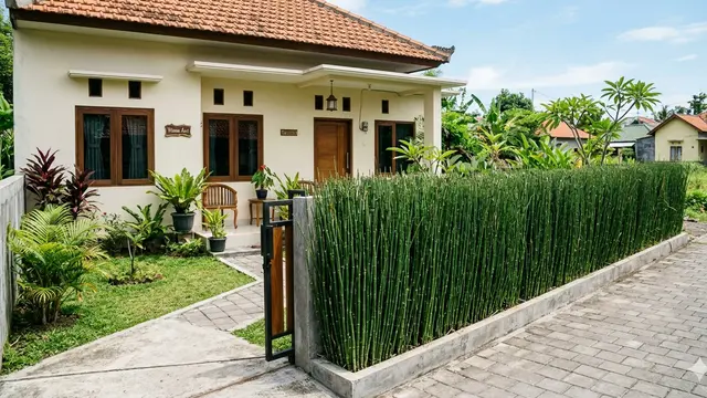 Tanaman Pagar Hidup Anti Retak untuk Rumah Kecil/Gemini