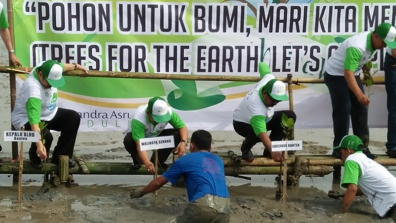 Penanaman Bakau di Pesisir Banten
