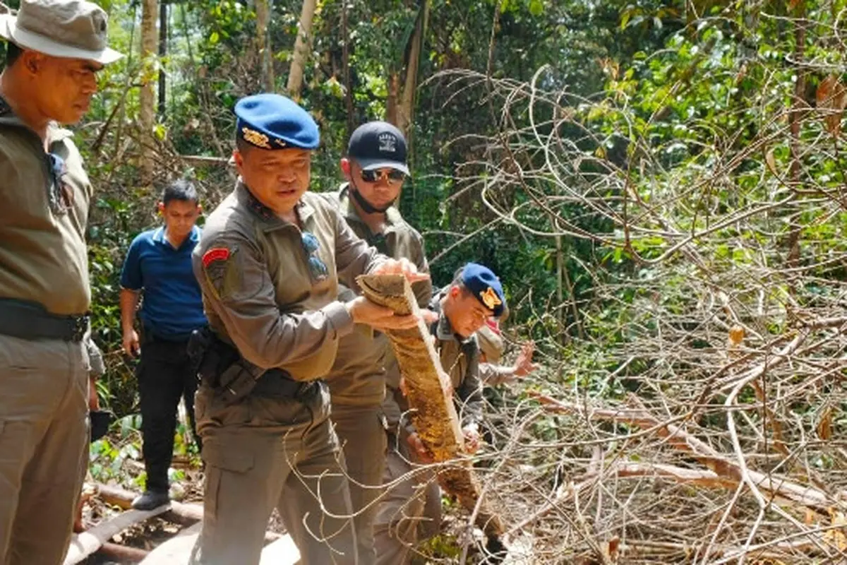 Kapolda Riau Irjen Agung Setya memegang hasil tebangan kayu di Cagar Biosfer Giam Siak Kecil.
