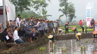 Presiden Joko Widodo didampingi Menteri BUMN Rini Soemarno saat blusukan ke area persawahan untuk meninjau Gerakan Mengawal Musim Tanam Okmar 2018/2019 di Desa Leuwigoong, Garut, Jawa Barat, Sabtu (19/1). (Liputan6.com/Angga Yuniar)