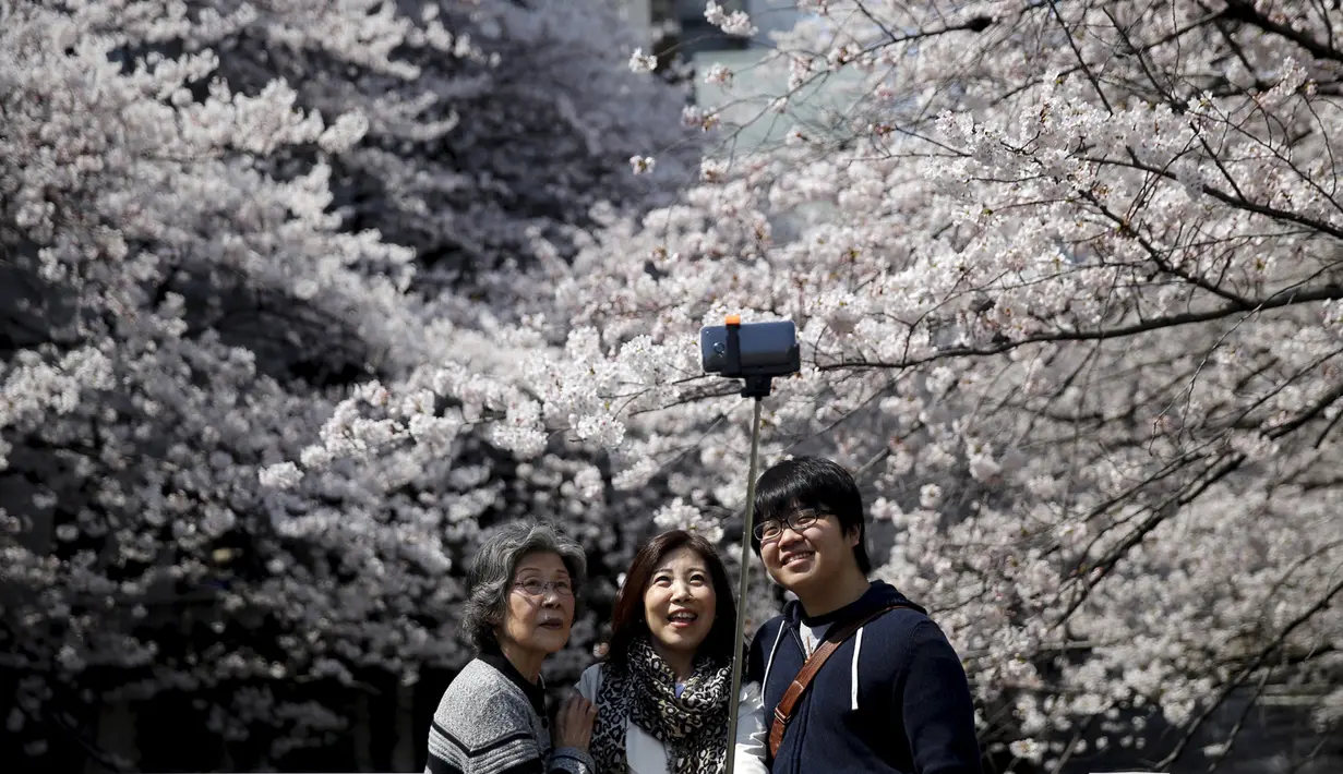 Sejumlah pengunjung berfoto selfie di depan pohon sakura yang sedang bermekaran di Tokyo, Jepang, Senin (30/3/2015). (REUTERS/Toru Hanai)