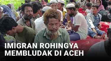Imigran Rohingya Membludak, UNHCR Bingung