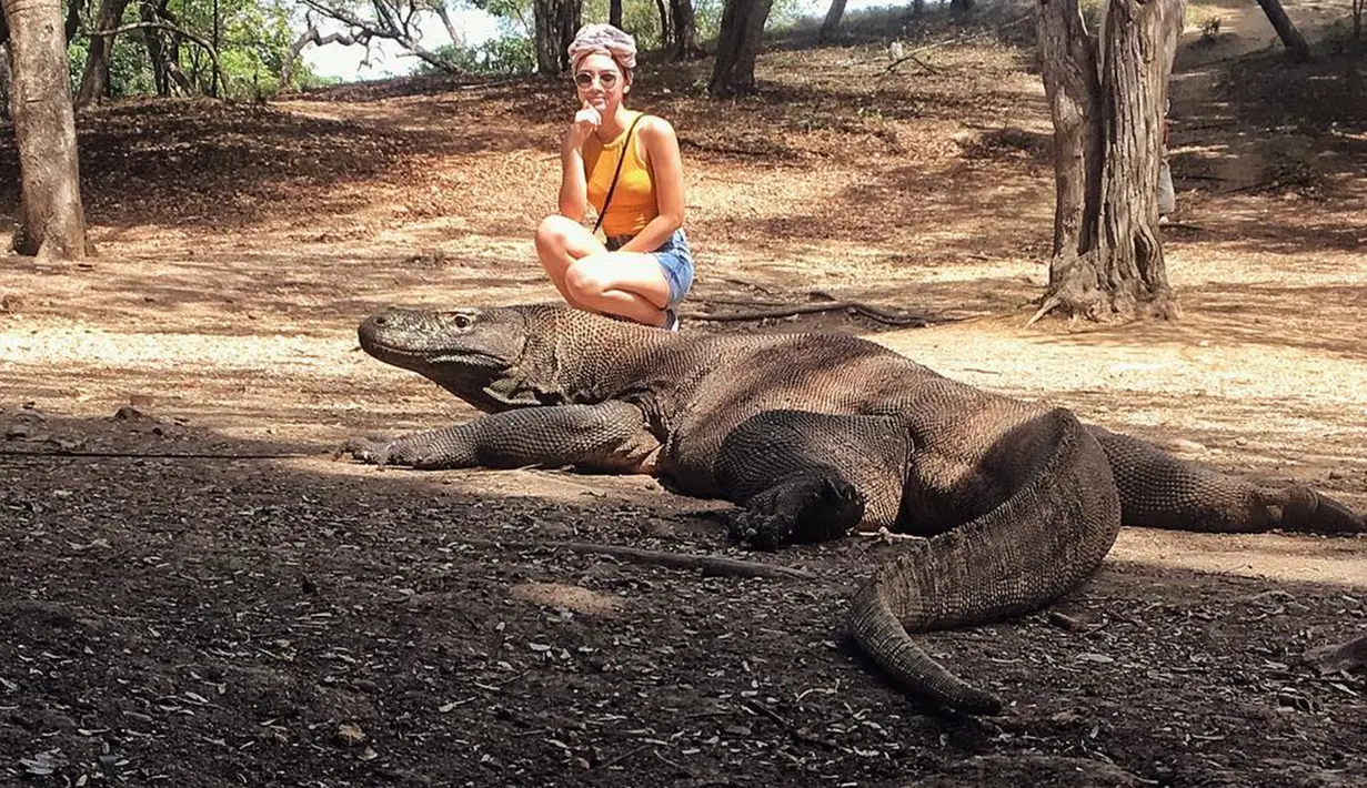 Momen Angel saat berkunjung di Pulau Komodo. Seolah tak mau melewatkan momen tersebut, wanita kelahiran 2 Juli 1994 ini mengabadikan foto bersama komodo. (Liputan6.com/IG/@angelagilsha)