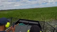 Kendaraan airboat yang digunakan Finniss River Lodge menerobos rawa dan hutan untuk menikmati keindahan alam. (Liputan6.com/Muhammad Ali).