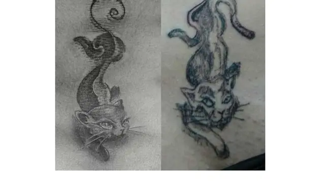 6 Tato Bentuk Kucing Ini Bentuknya Nyeleneh, Bikin Ngakak