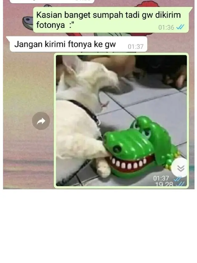 7 Chat WhatsApp ke Teman Ini Ujungnya Bikin Kesal Sendiri