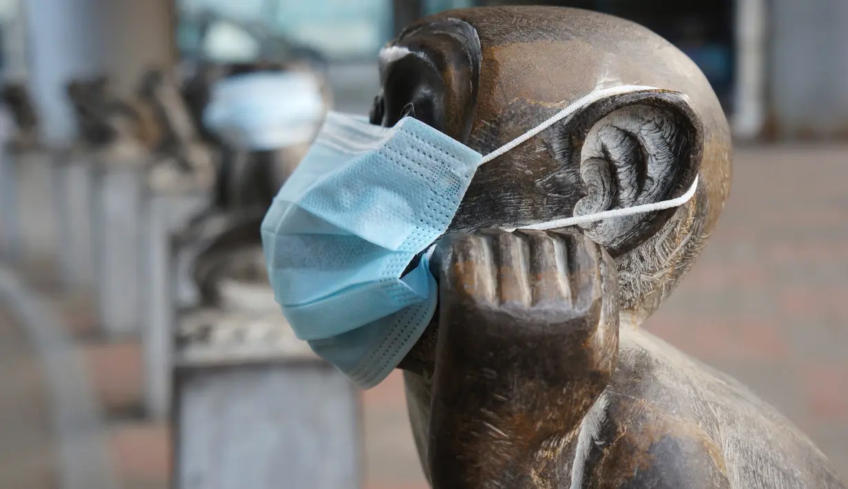 Patung monyet yang berada di Kebun Binatang Beijing, China terlihat dipakaikan masker sebagai bentuk protes polusi udara, 19 Desember 2016. Pemerintah Beijing telah menetapkan siaga merah terhadap polusi udara yang sangat tinggi. (AFP PHOTO/STR/China OUT)