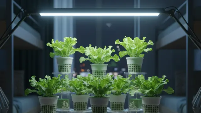 Model Kebun Sayur Rumahan Ala Anak Kos yang Jarang Nyiram. Gemini