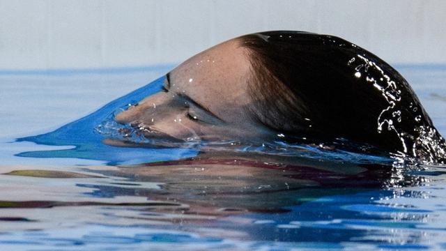 Paralimpiade Rio 2016