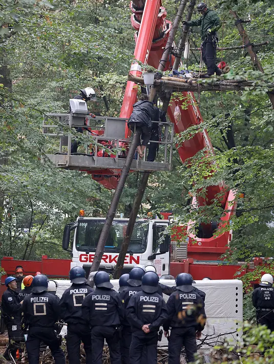 Polisi berusaha menangkap aktivis lingkungan di sebuah rumah pohon di hutan Hambacher Forst, Jerman Barat (13/9). Aktivis tersebut tinggal di rumah pohon untuk  melindungi hutan kuno dari razed untuk tambang batu bara di dekatnya. (Henning Kaiser/dpa/AFP)