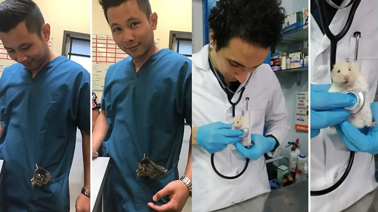 8 Momen Manis Ini Diabadikan Dokter Hewan saat Bekerja, Rasa Lelah Auto Hilang