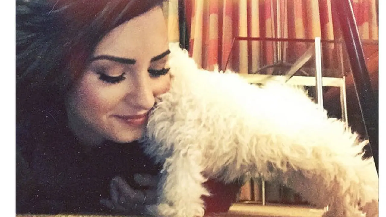 Demi Lovato punya anjing baru