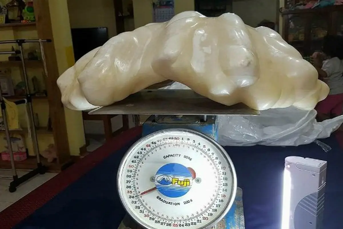 Mutiara raksasa (0)