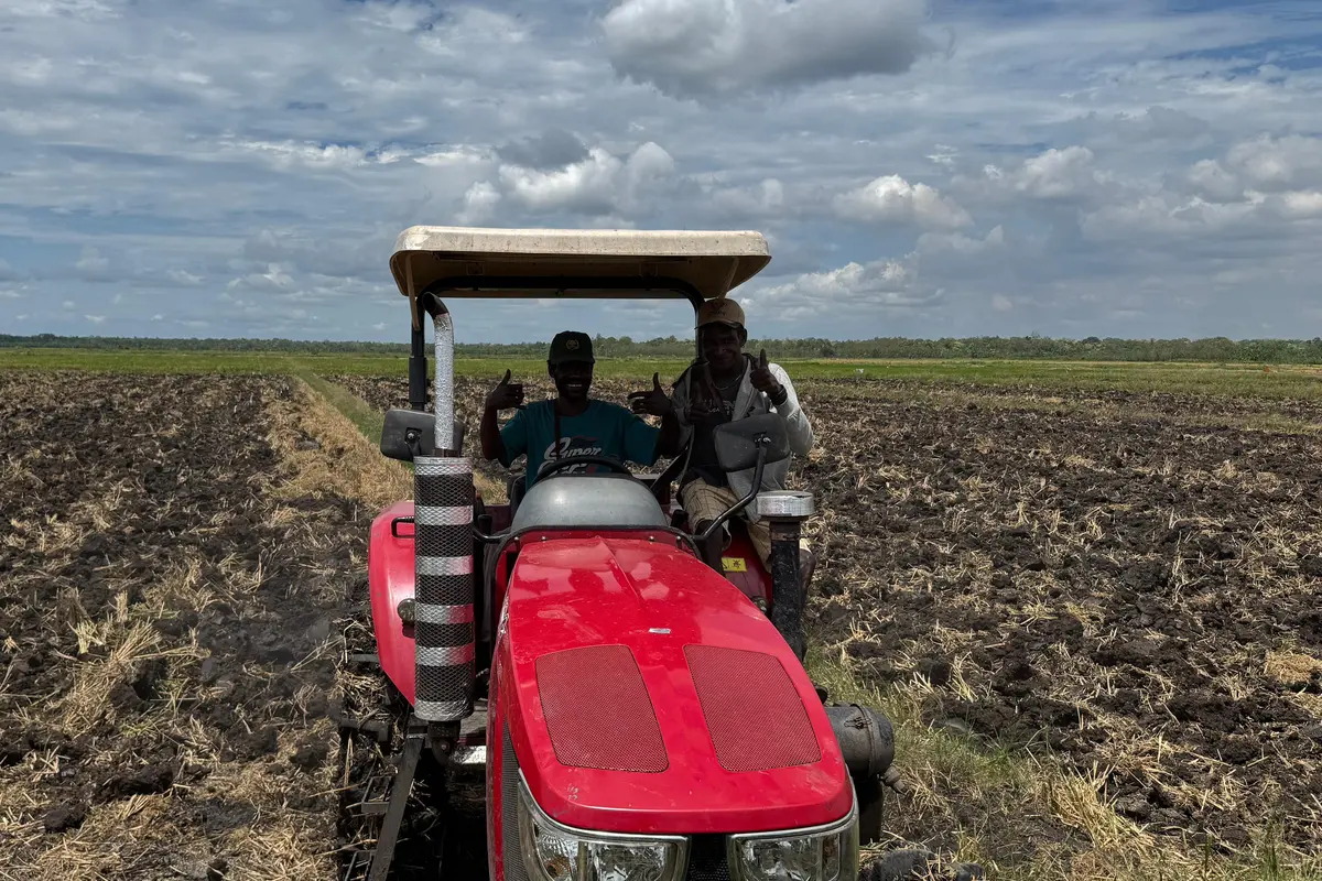 Petani di Merauke Senang Sawahnya Kini Bisa Ditanam 3 Kali dalam Setahun