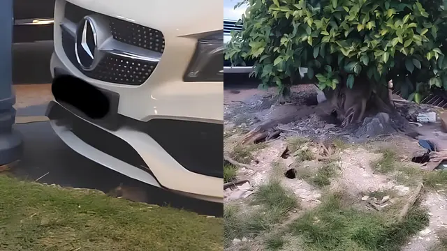 Tikus Menghantui Mobil Parkir