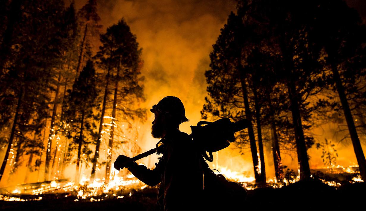 Seorang petugas pemadam saat berusaha memadamkan api yang membakar Hutan Nasional Sierra, California, AS, Jumat (21/8/2015). Mereka berusaha agar api tak menyebar luas hingga pemukiman penduduk. (REUTERS/Max Whittaker)