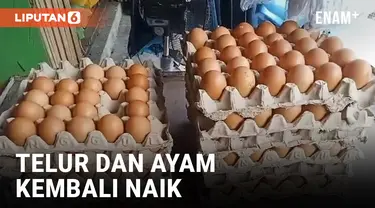 Telur dan Daging Ayam di Maluku Kembali Naik Jelang Puasa