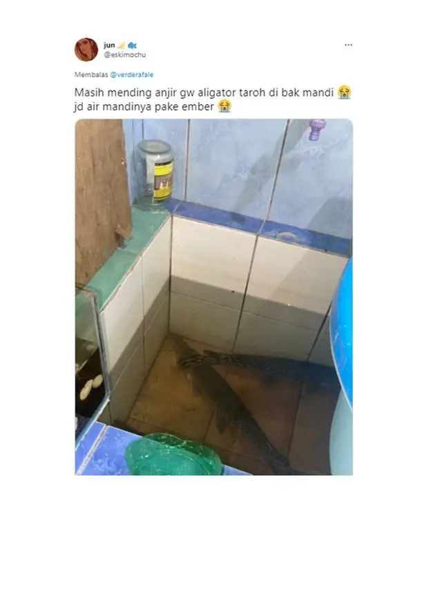6 Potret Netizen saat Pelihara Ikan Ini Bikin Geleng Kepala