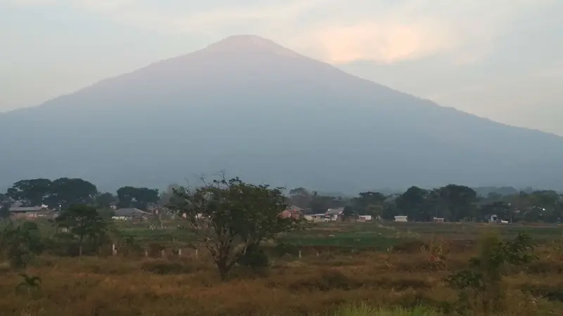 Saat Api Membakar Bunga Edelweis dan Lahan di Puncak Gunung Ciremai