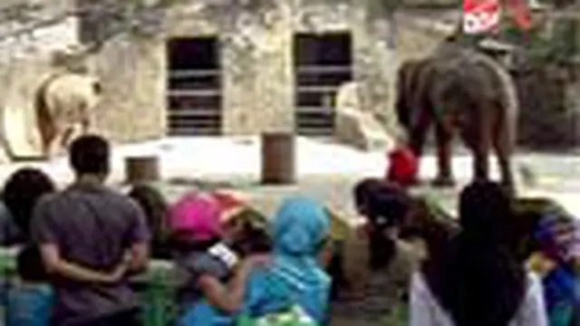 Libur Panjang, Puluhan Ribu Warga Padati Ragunan