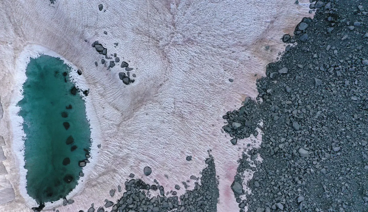 Foto udara pada 3 Juli 2020 di atas gletser Presena dekat Pellizzano, Italia menunjukkan salju berwarna pink atau merah muda. Perubahan warna ini diketahui karena adanya tumbuhan alga di kawasan itu yang membuat warna salju menjadi lebih gelap. (Photo by Miguel MEDINA / AFP)