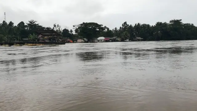 Sultra Dikepung Banjir, Rencana Panen Raya Terancam Gagal