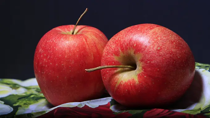 Ilustrasi buah apel