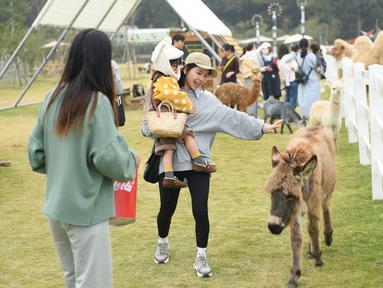 Sejumlah orang menikmati waktu luang mereka di "Go Farm" di Desa Gucheng, Kota Huzhou, Provinsi Zhejiang, China pada 17 November 2020. "Go Farm", sebuah destinasi liburan yang memadukan antara perkemahan dengan tur bertema hewan peliharaan di desa kuno Gucheng. (Xinhua/Weng Xinyang)