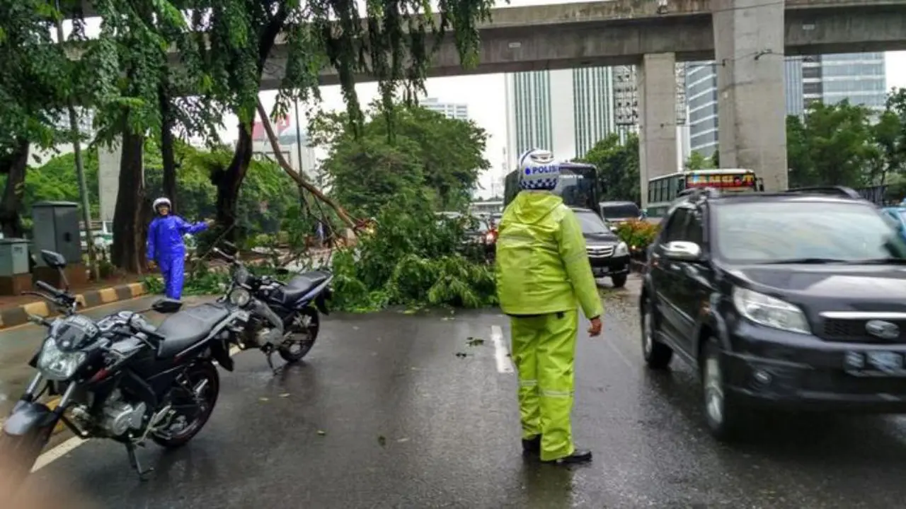 20160212-pohon tumbang-jakarta-rasuna