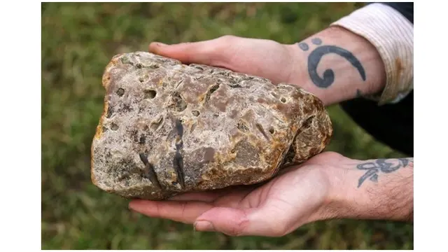 Ambergris