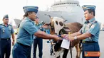 Citizen6, Jakarta: Pangkolinlamil Laksamana Muda TNI S.M. Darojatim menyerahkan sapi  kepada Ketua Panitia Idhul Adha Kolinlamil Letkol Laut (KH) Drs. Uus Kusnendi, di Mako Kolinlamil,Tanjung Priok, Jakarta, Rabu (24/3). (Pengirim: Dispenkolinlamil). 