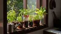 Konsep Kebun Sayur Rumahan Estetik untuk Ibu Rumah Tangga