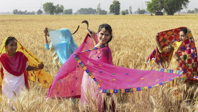 Pemuda Sikh menampilkan tarian tradisional rakyat Punjab atau Bhangra jelang festival panen Baisakhi di ladang gandum pinggiran Amritsar, India, 11 April 2021. Baisakhi adalah festival yang dirayakan di seluruh India utara, terutama di wilayah Punjab oleh komunitas Sikh. (NARINDER NANU/AFP)