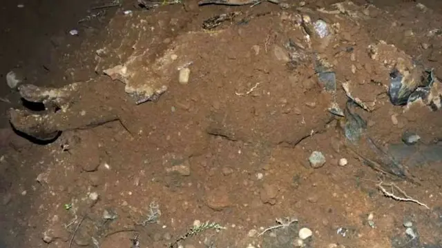 Terungkap, Misteri Mumi Wanita dalam Peti Mati Besi Berusia 150 Tahun