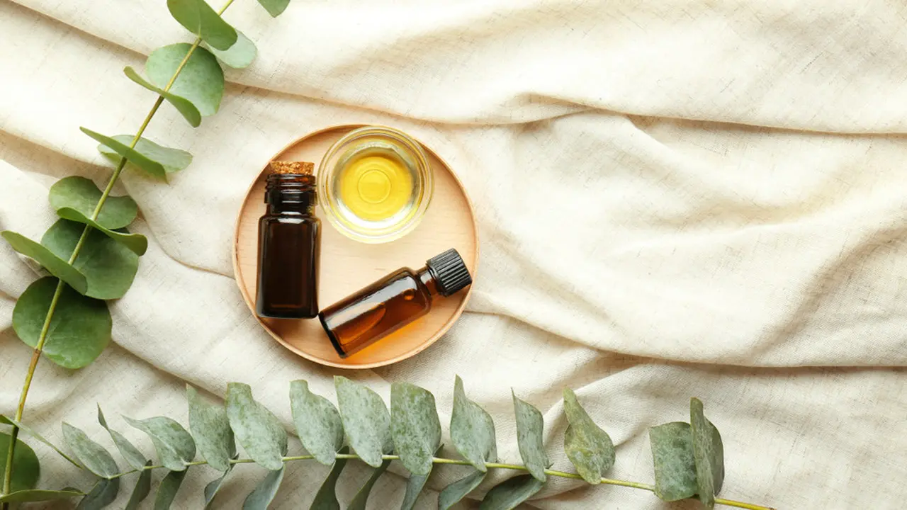 Mengenal Eucalyptus dan Segudang Manfaatnya, Tanaman yang Tercium dari Jenazah Eril