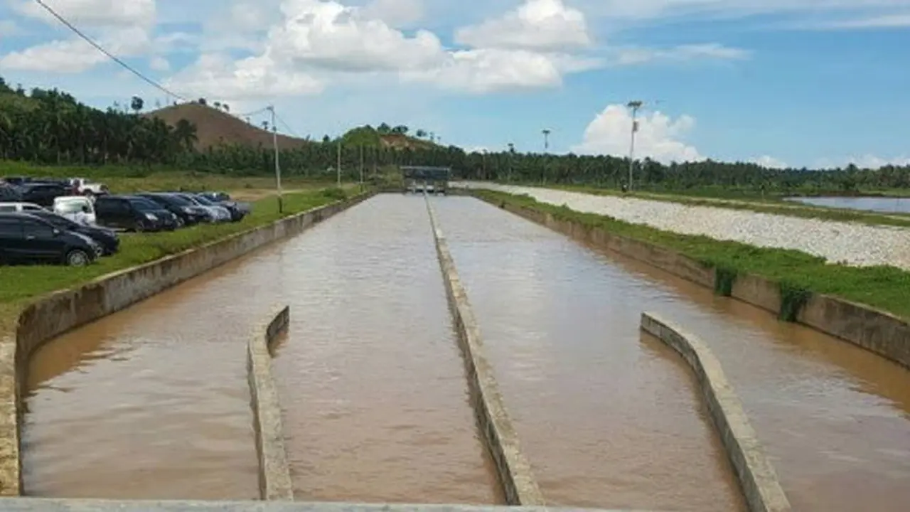 Beginilah Perkembangan Pembangunan 1 Juta Hektar Irigasi Baru