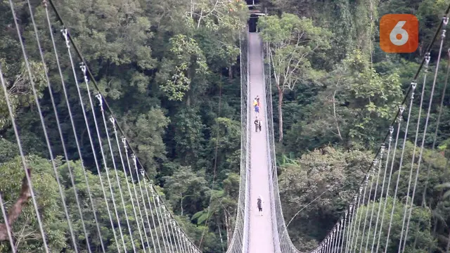 Wisatawan saat melintasi jembatan gantung Suspension Bridge Situ Gunung Kabupeten Sukabumi (Liputan6.com/Fira Syahrin).