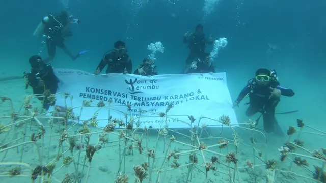 Tour de Terumbu