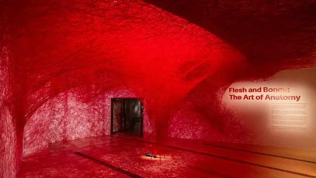 Perpaduan Seni, Sains, dan Sejarah