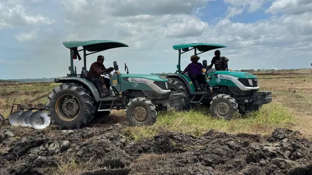 Apresiasi Para Petani Lokal, Program Optimasi Lahan Rawa di Merauke Tunjukkan Perkembangan Signifikan