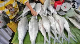 Penyelenggaraan Festival Bandeng Rawa Belong untuk menyongsong peringatan lima abad kota Jakarta. (Liputan6.com/Angga Yuniar)