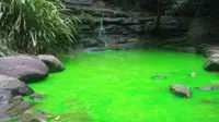 Misteri Air Sungai Berubah Jadi Hijau Neon, Fenomena Alam atau...