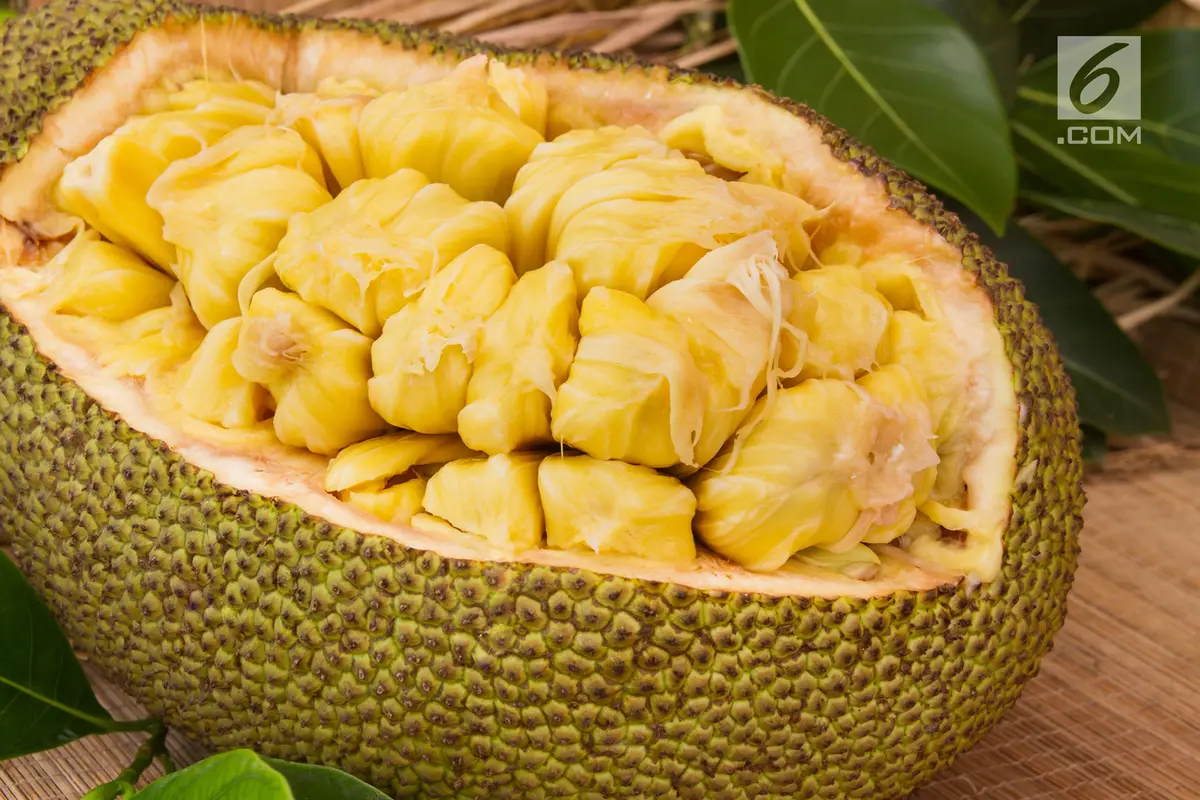 buah nangka